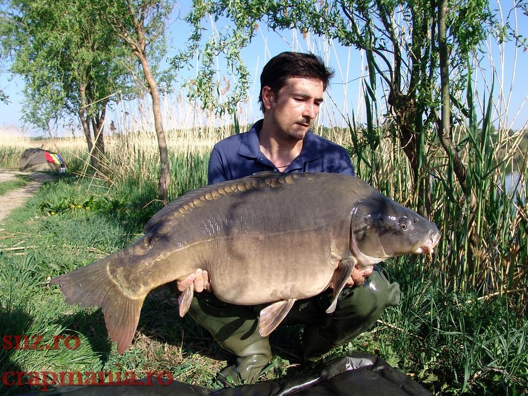 Crapmania 2012 - DSC01217.jpg